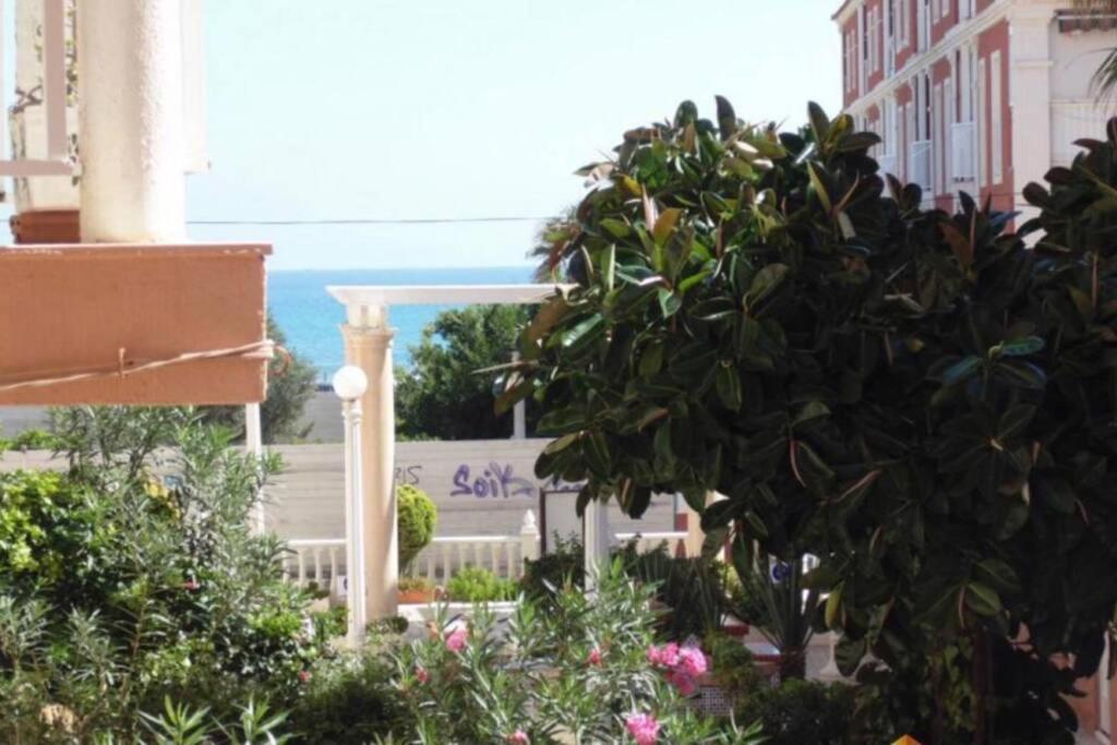 Dream Apartamento
